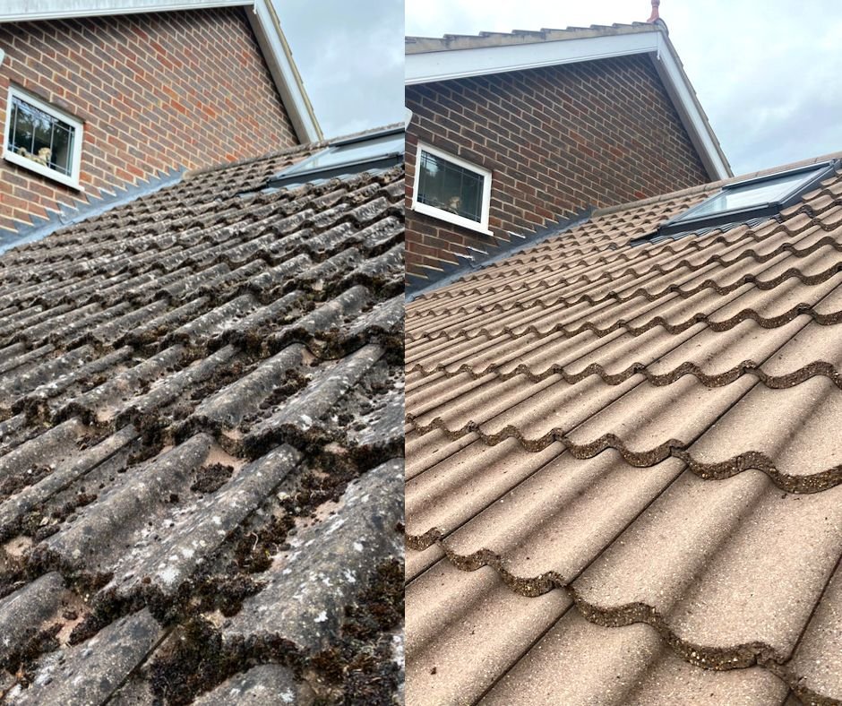 before and after roof cleaning