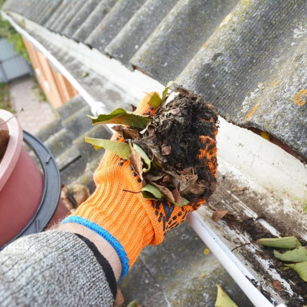 gutter-cleaning-5-diy-tips-to-get-it-done-in-no-time